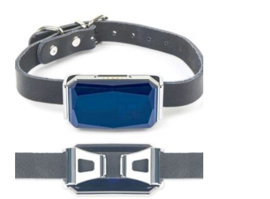 PET TRACKER - Image 2